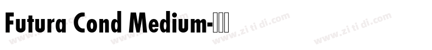 Futura Cond Medium字体转换